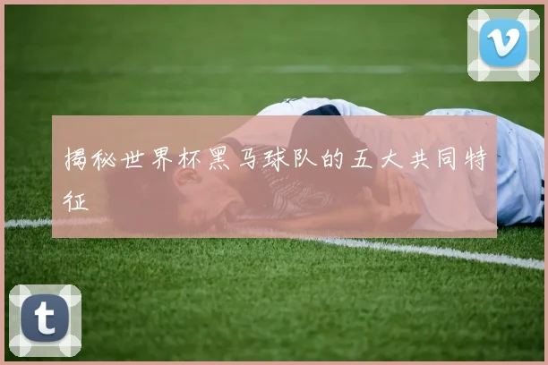 揭秘世界杯黑马球队的五大共同特征